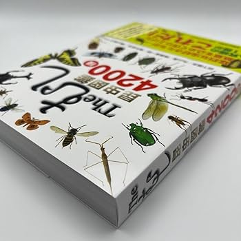 図鑑 宝島社 - ワールドフラッグス 世界196カ国 完全データ図鑑